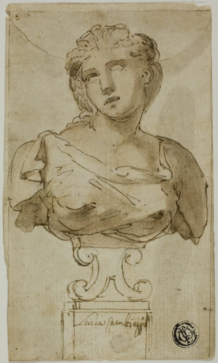 Busto di donna - Art Institute of Chicago
